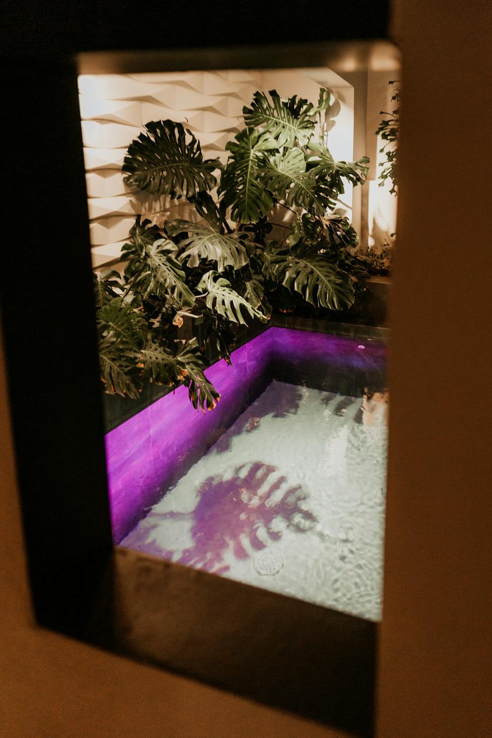 Indoor Pool & Hot Tub